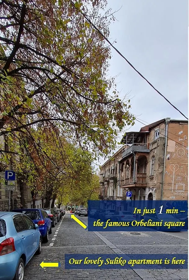 Suliko - Your Cosy Apartment In The Center Tbiliszi